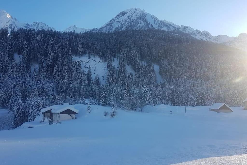 Chalet Rustico Bertolini Per Gruppi! Vila Vermiglio Exterior foto