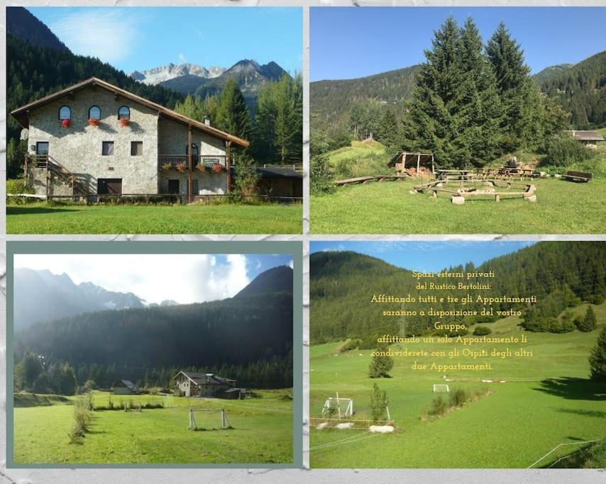 Chalet Rustico Bertolini Per Gruppi! Vila Vermiglio Exterior foto