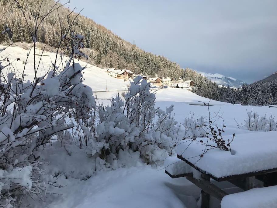 Chalet Rustico Bertolini Per Gruppi! Vila Vermiglio Exterior foto