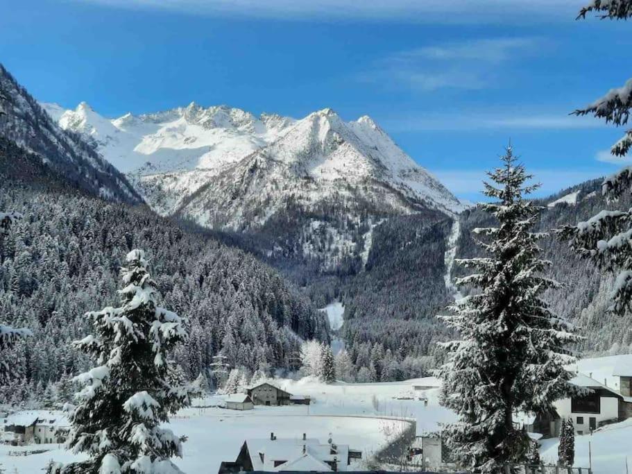 Chalet Rustico Bertolini Per Gruppi! Vila Vermiglio Exterior foto