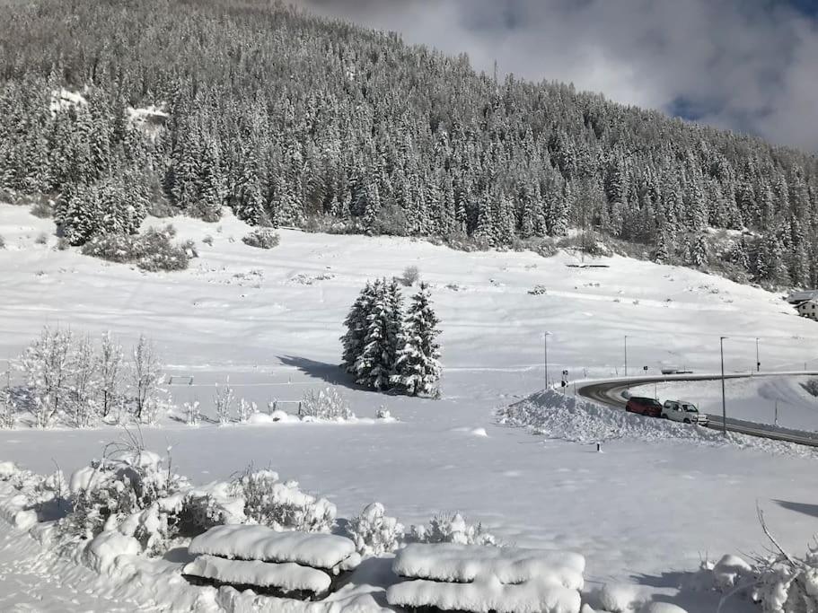 Chalet Rustico Bertolini Per Gruppi! Vila Vermiglio Exterior foto